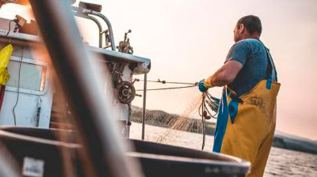 Carrefour compr 11.800 toneladas anuales de pescado a 60 lonjas locales